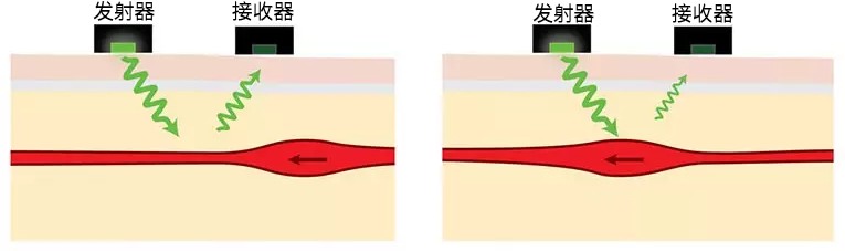 腾讯分分彩：为什么手表显示的“心率”很离谱？因为它根本没测心跳